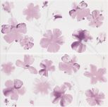 Printemps Viola 25x50
