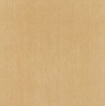 Vivaldi Beige 49x49  