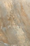 Dome Walnut 20x40 