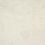 Evolve White Strutt 60x60 