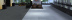 BLUESTONE