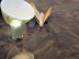 ANTHOLOGY MARBLE 