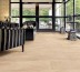 ANTHOLOGY MARBLE 