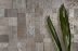 ATELIER DECORATIVE (HARMONY)