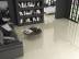 ASCOT 80X80
