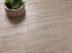 ECOLOFT (SADON)