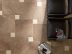 EVOLUTION MARBLE