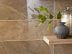 EVOLUTION MARBLE