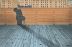 UONUON (POP WOOD)