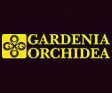 GARDENIA ORCHIDEA